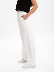 Брюки повседневные Famo модель BR-630_01 Фото