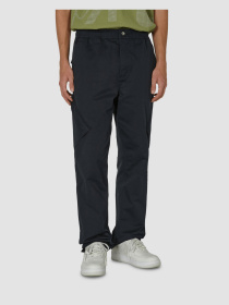 Брюки повседневные Jordan Essentials Chicago модель FB7305-010 Фото