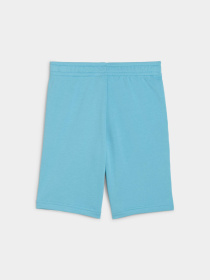 Повсякденні шорти PUMA Ess Small Logo Shorts Tr B модель 688347 Фото