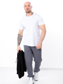 Джоггеры Носи своє модель 8338-057-2-temnij-graft Фото