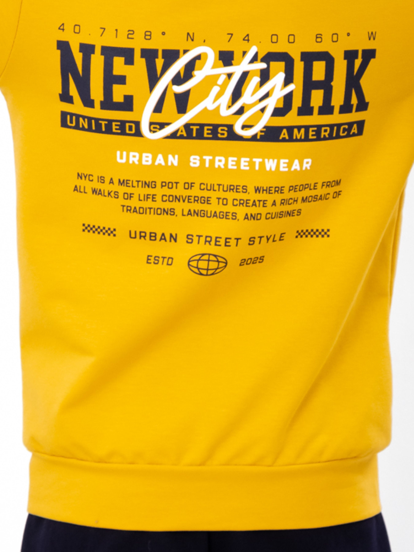 Спортивний костюм Носи своє Модель 6018-057-33-grchicq-new-york Фото