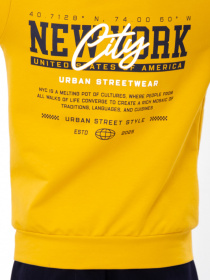 Спортивный костюм Носи своє модель 6018-057-33-grchicq-new-york Фото