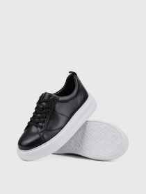 Кеды низкие Attizzare модель 255N-17-F2 Фото