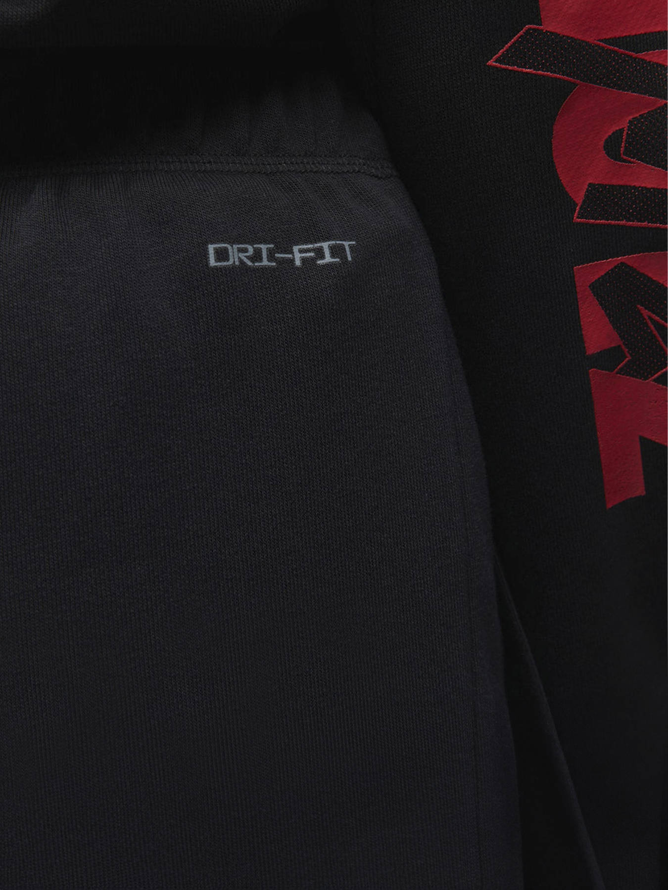 Джогери Jordan Zion Crossover модель DX0637-010 Фото