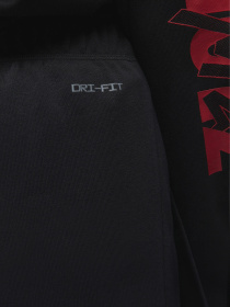 Джогери Jordan Zion Crossover модель DX0637-010 Фото