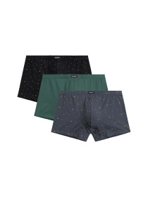 Набір трусів Atlantic модель 3MH-204 Фото