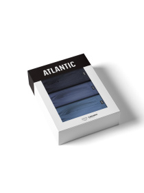 Набір трусів Atlantic модель 3MP-192 Фото