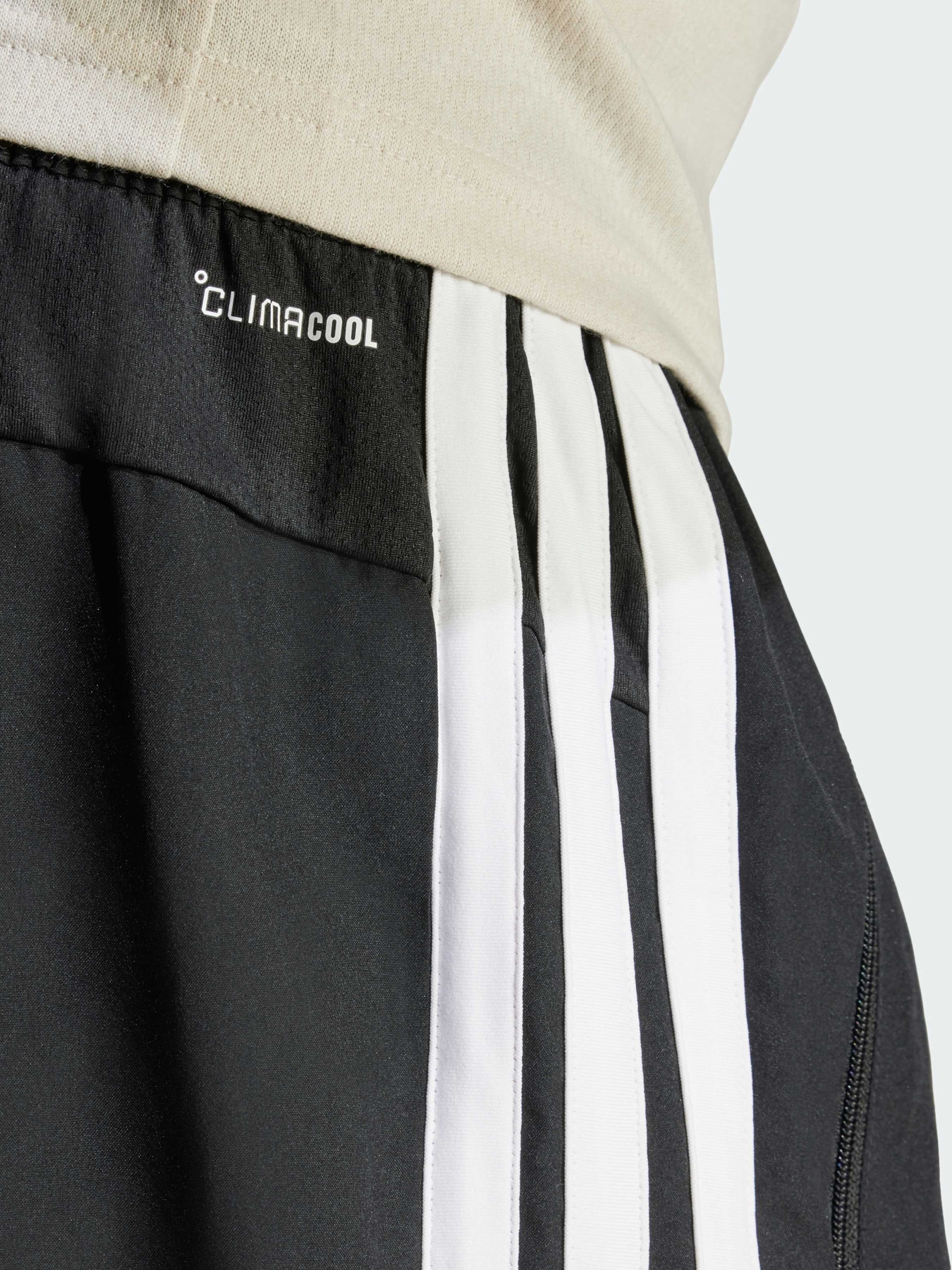 Шорты спортивные Adidas модель JC7718 Фото