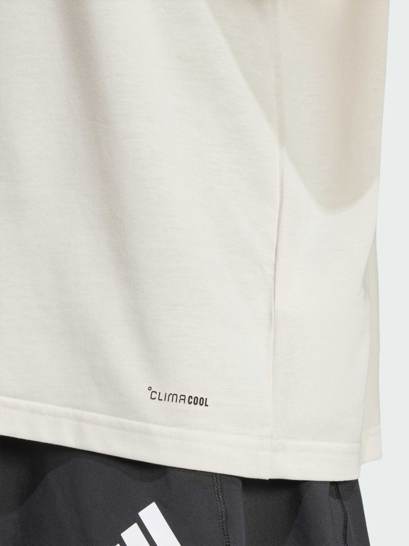 Футболка спортивна Adidas модель JJ1441 Фото