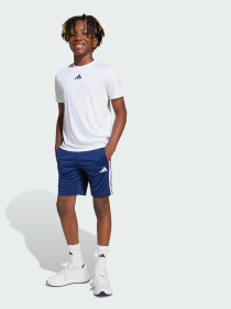 Спортивный комплект Adidas модель JJ1030 Фото