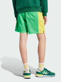 Шорти Adidas Graphics модель JP4445 Фото