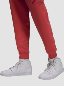 Джогери Jordan Essentials модель FD7345-604 Фото