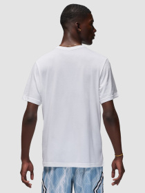 Футболка Jordan Dri-Fit Sport Performance модель FN5829-100 Фото