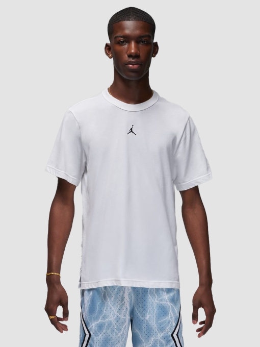 Футболка Jordan Dri-Fit Sport Performance модель FN5829-100 Фото
