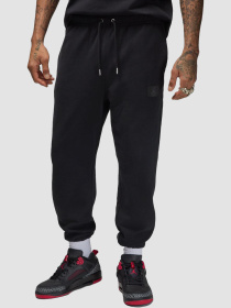 Джогери Jordan M Flight Flc модель FV7251-010 Фото