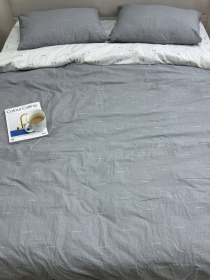 Комплект постільної білизни Абстракційний дует двосторонній Ecotton модель 23672-21205 Фото