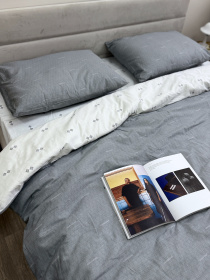 Комплект постільної білизни Абстракційний дует двосторонній Ecotton модель 23672-21205 Фото