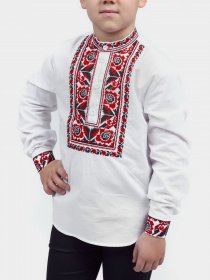 Вишита сорочка Едельвіка модель 228-20-09 Фото