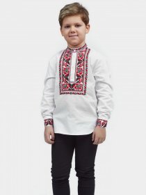 Вишита сорочка Едельвіка модель 228-20-09 Фото