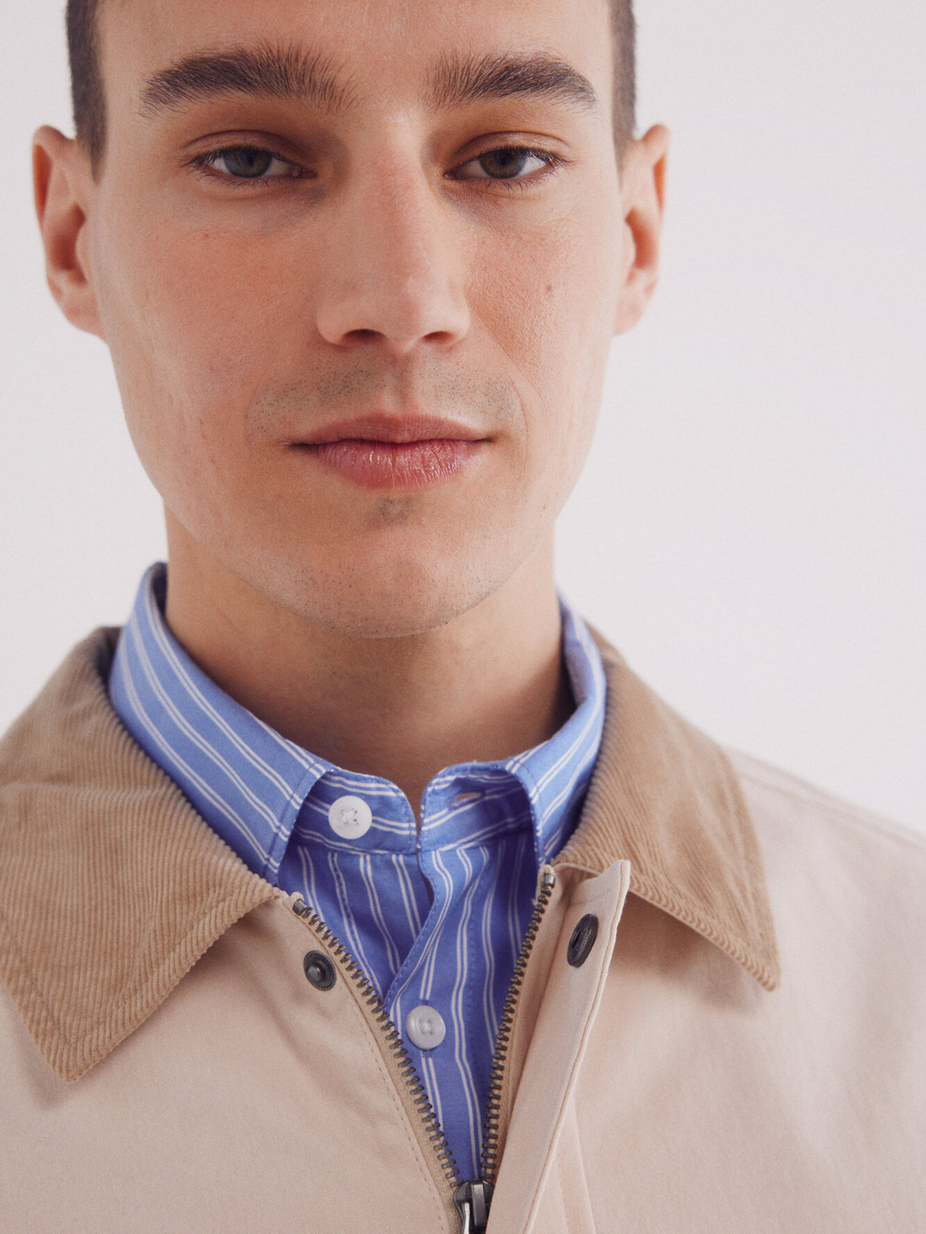 Вітровка SPRINGFIELD модель 2839443-50 Фото