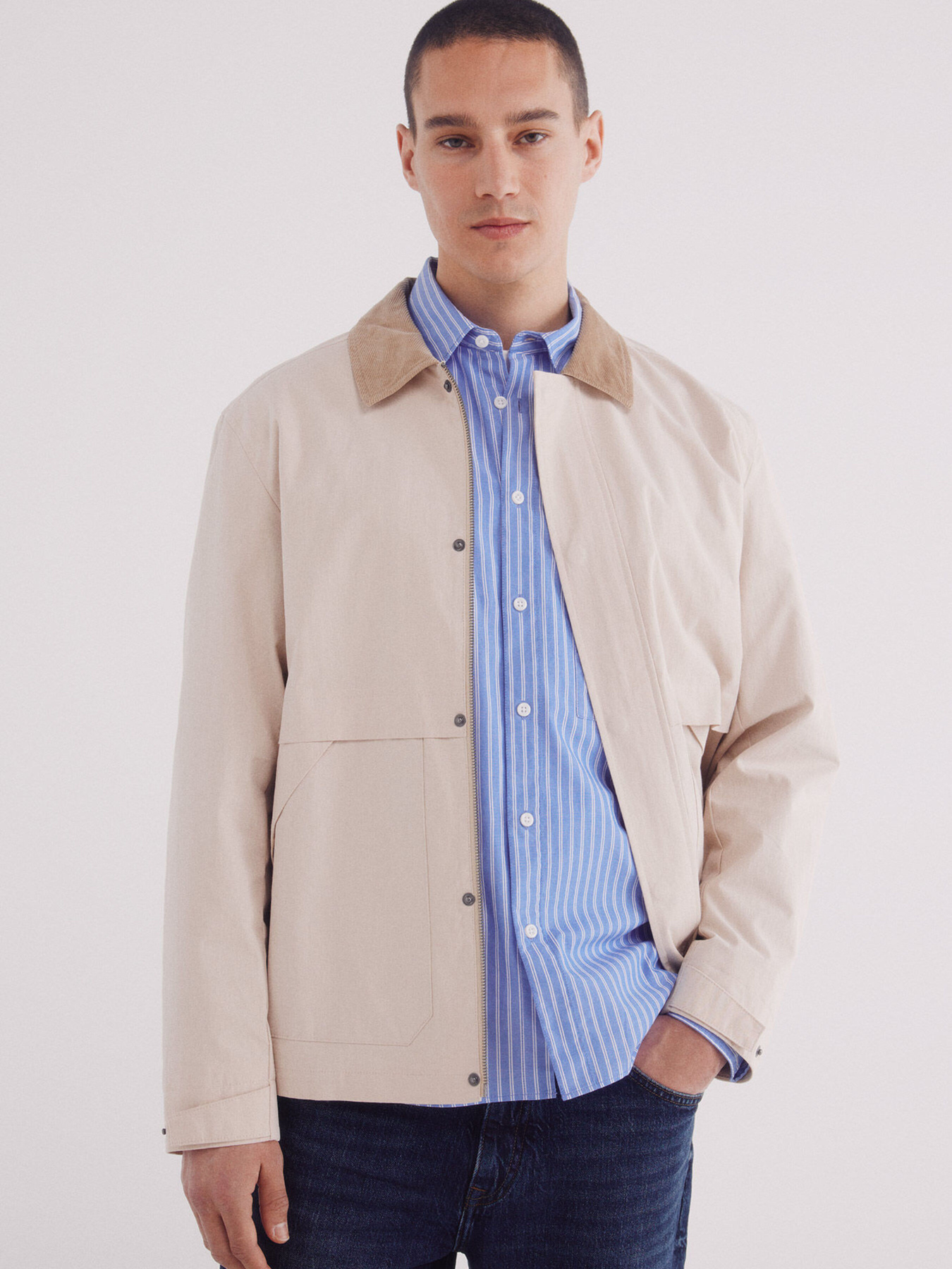 Вітровка SPRINGFIELD модель 2839443-50 Фото