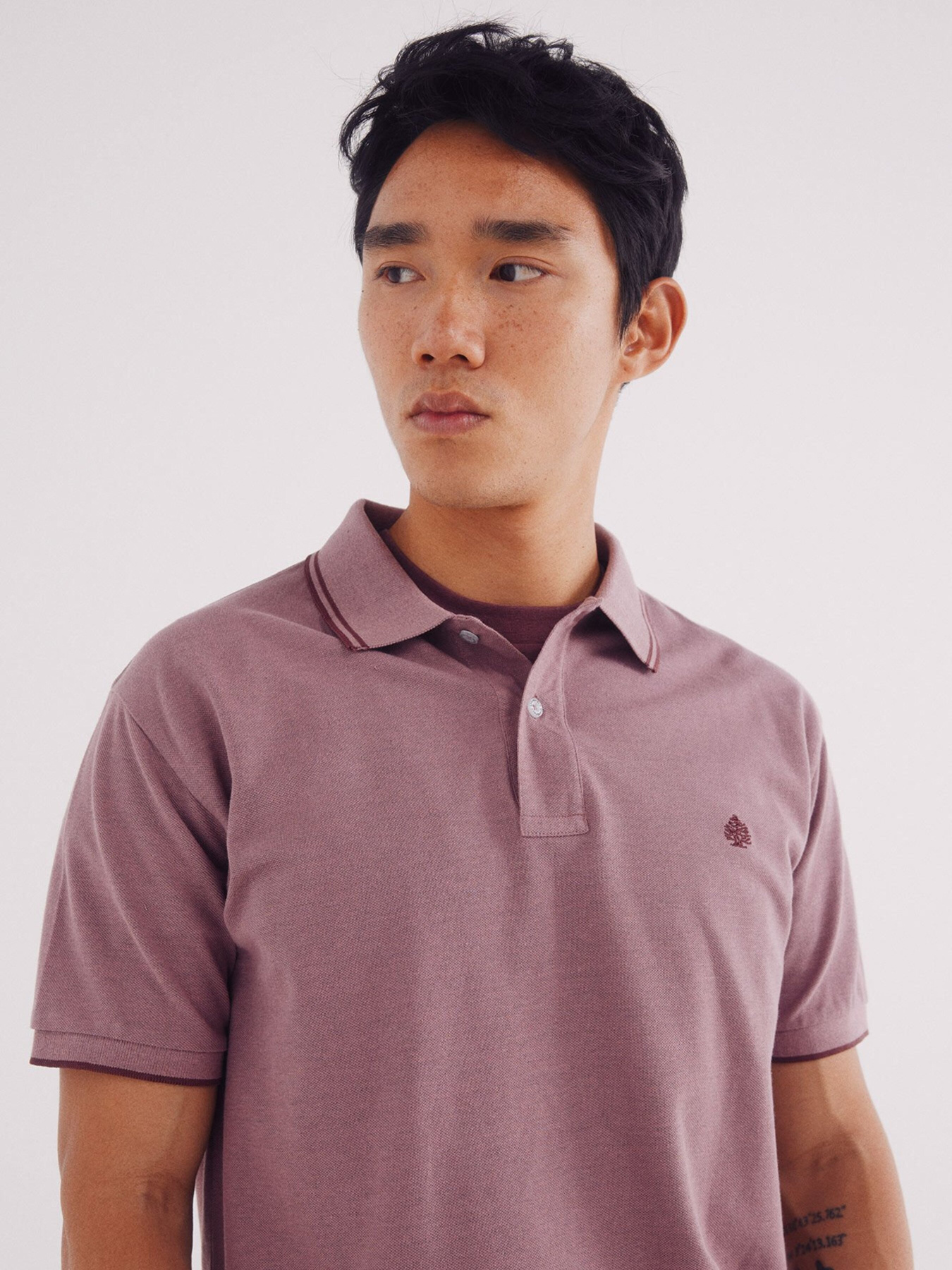 Поло SPRINGFIELD модель 4409001-67 Фото