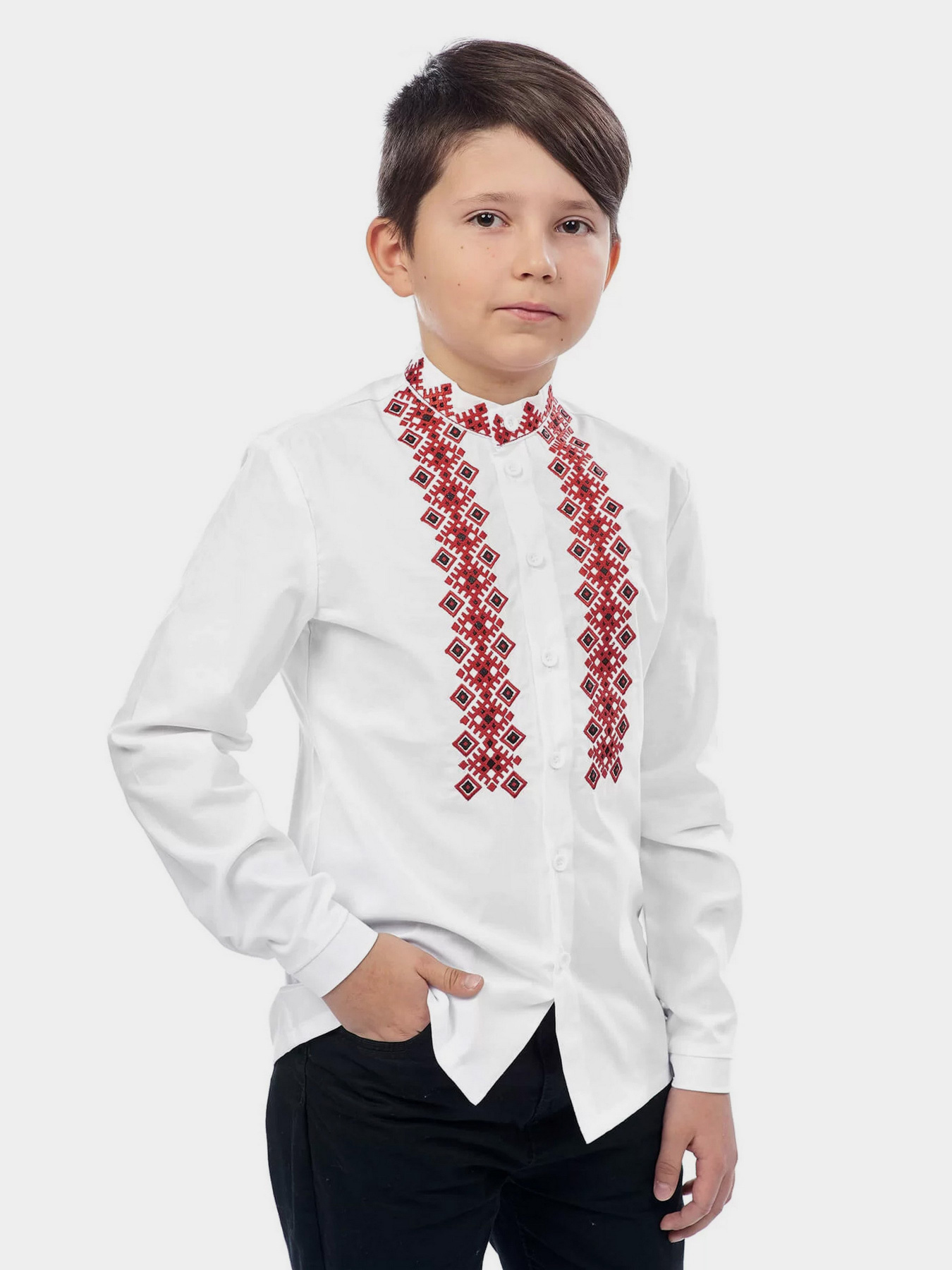 Вишита сорочка Едельвіка модель 375-19-09 Фото