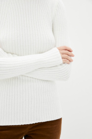 Джемпер Sewel модель JW848210000 Фото