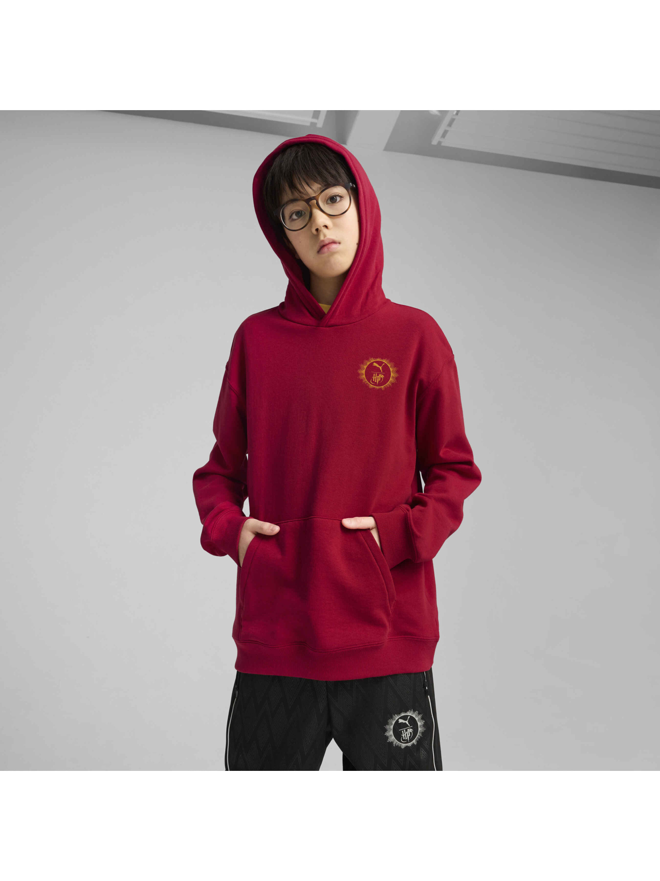 Худи PUMA x Harry Potter Hoodie модель 630078 Фото
