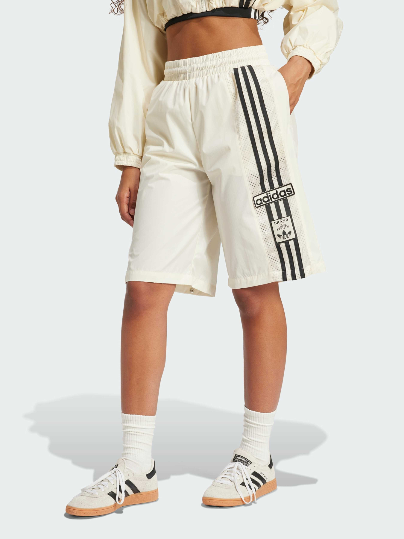 Повседневные штаны Adidas Adicolor модель JD0087 Фото