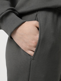 Штани Promin модель 2040-106_251 Фото