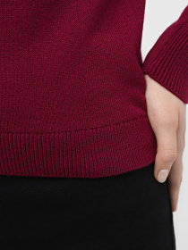 Джемпер Promin модель 2021-42-B_110 Фото