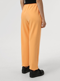 Штани Promin модель 2940-08_261 Фото