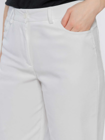 Повседневные штаны Arber модель W01.17.00.521 Фото