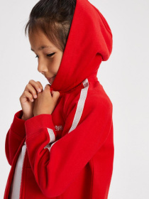 Худи DIVERSE Kidi 1 модель 10033081 Фото