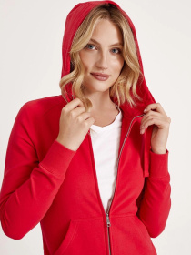 Кофта спортивная DIVERSE Corechi I модель 10037825 Фото