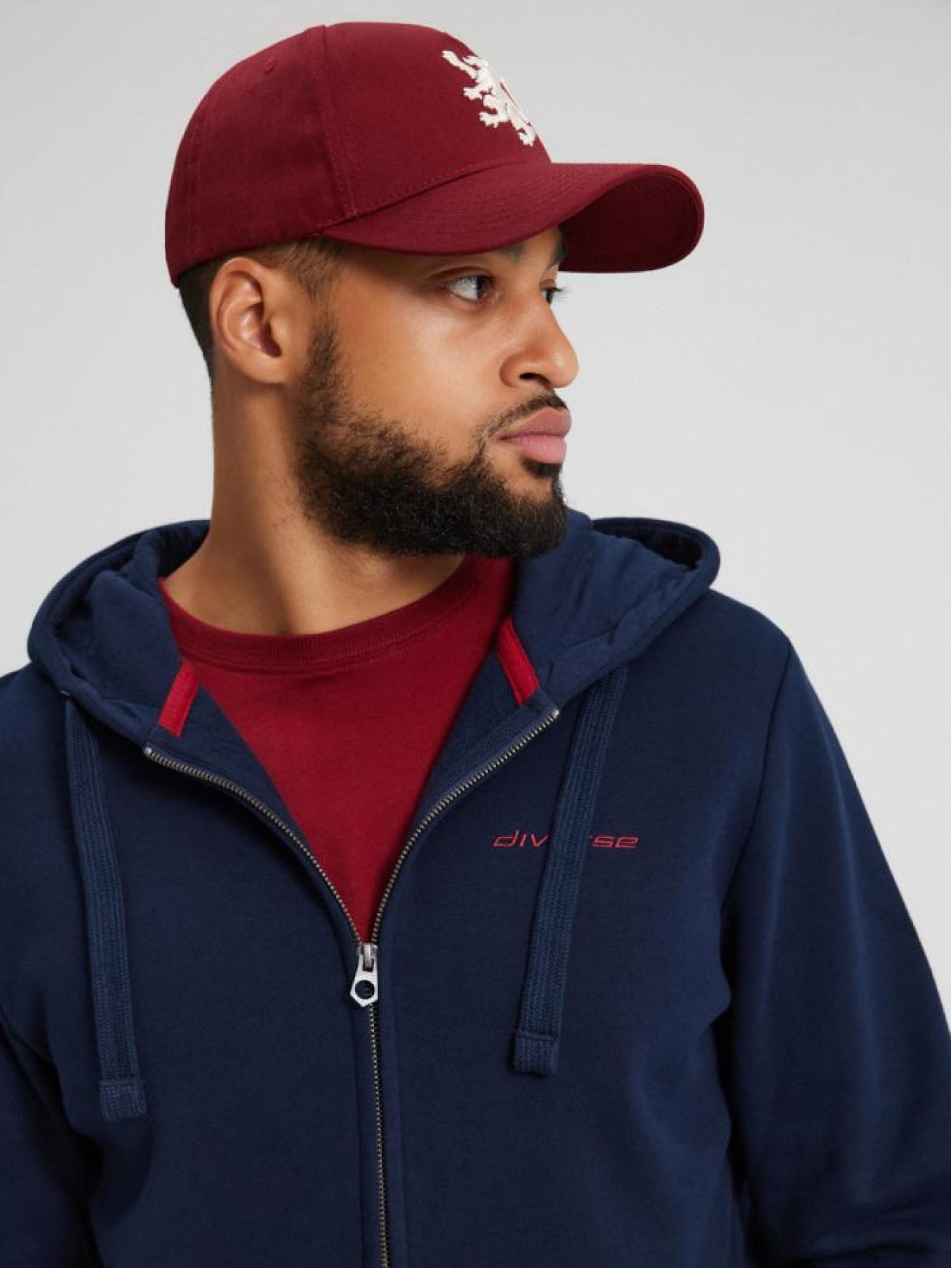 Спортивная кофта DIVERSE Revegas Zip 241 модель 10043617 Фото