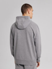 Кофта спортивная DIVERSE Evb Hoody 241 модель 10043613 Фото