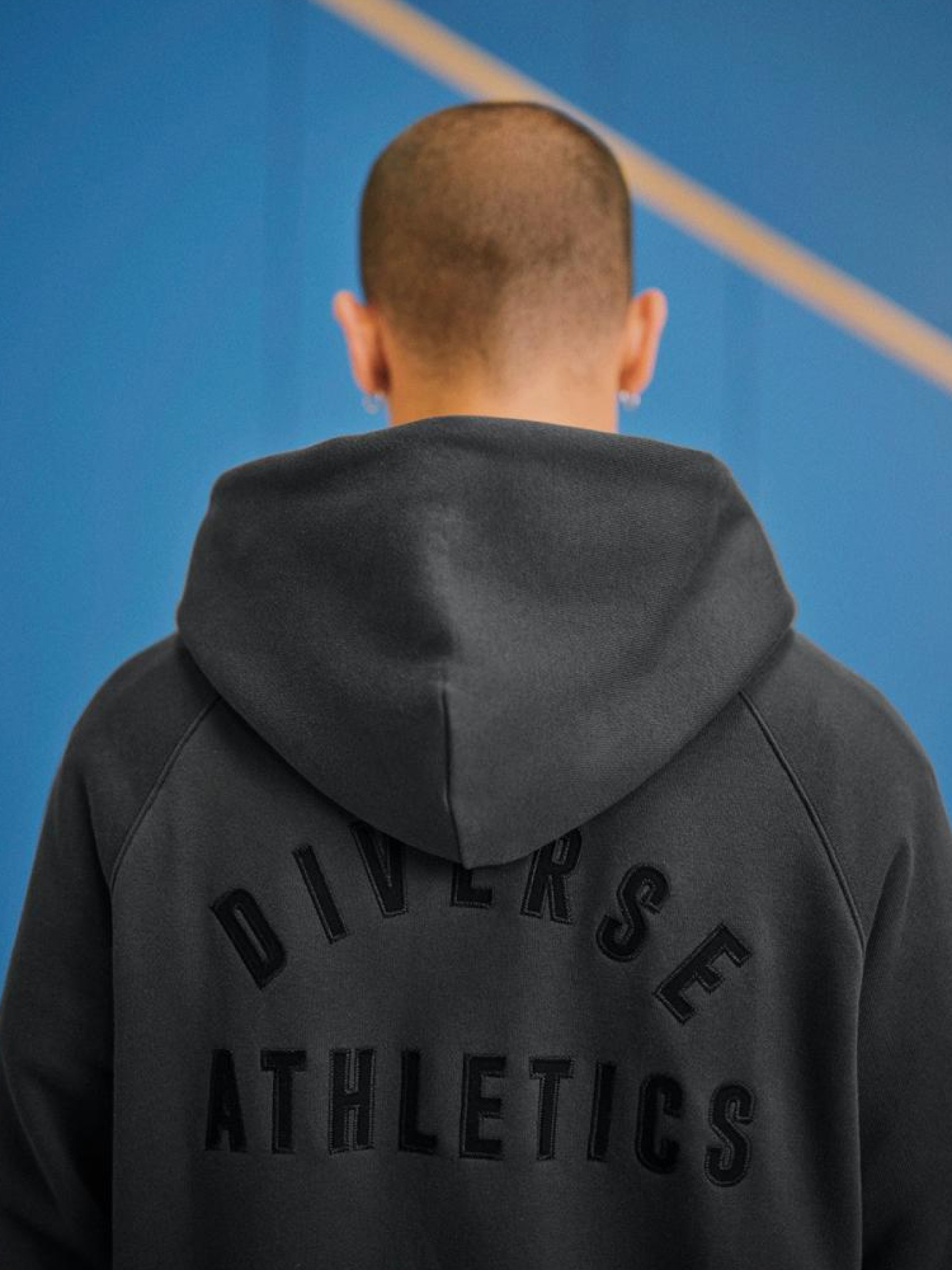 Кофта спортивна DIVERSE Ath Zh 524 модель 10045354 Фото