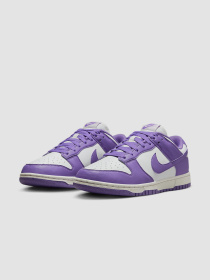 Кросівки NIKE Dunk Low Next Nature модель DD1873-108 Фото