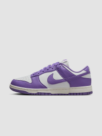 Кросівки NIKE Dunk Low Next Nature модель DD1873-108 Фото