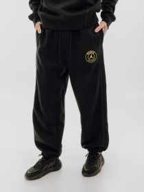 Джогери Jordan PAris Saint-Germain модель DZ2949-011 Фото