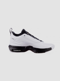 Кроссовки повседневные Jordan Max Aura 6 модель FQ8298-101 Фото