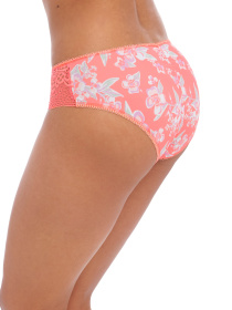 Трусы Freya Erin модель 3235HCL Фото