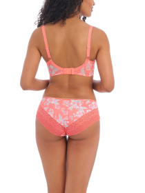 Труси Freya Erin модель 3236HCL Фото