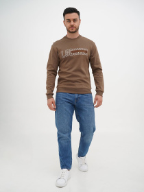 Свитшот Trend Collection модель TC12751BrownSVTSHT Фото