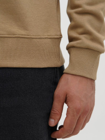 Свитшот Trend Collection модель TC12535BrownSVTSHT Фото