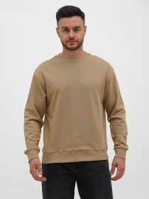 Свитшот Trend Collection модель TC12535BrownSVTSHT Свитшот Trend Collection модель TC12535BrownSVTSHT Фото