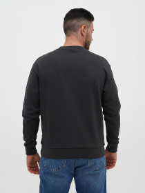 Свитшот Trend Collection модель TC12534GreySVTSHT Фото