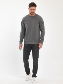 Свитшот Trend Collection модель TC11177GreySVTSHT Фото